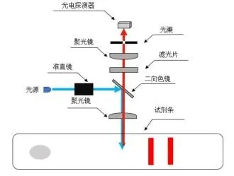 熒光層析儀共聚焦光路