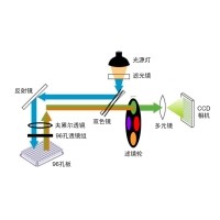 什么是熒光定量PCR、數字PCR？