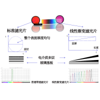 線性漸變?yōu)V光片是什么？有何特點？